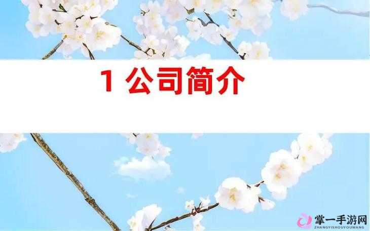 玖玖传媒广告有限公司：致力于打造行业顶尖的广告服务平台