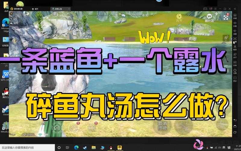 妄想山海鱼丸汤的制作流程及其在游戏资源高效管理中的应用与重要性